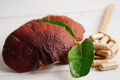 Reishi obsahové látky